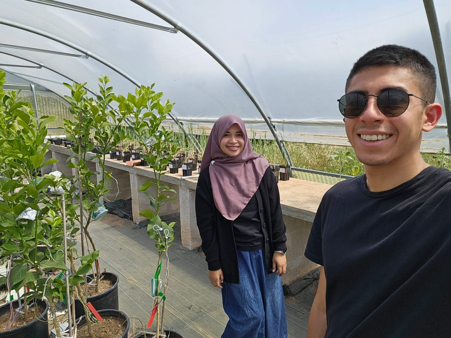 KOLABORASI RISET INTERNATIONAL ANTARA UNIVERSITAS MUHAMMADIYAH PONTIANAK DAN UNIVERSITAS DEGLI STUDI DI PALERMO (UNIPA), ITALY DALAM KERANGKA PROJECT SUSTAINABLE MSCA-RISE